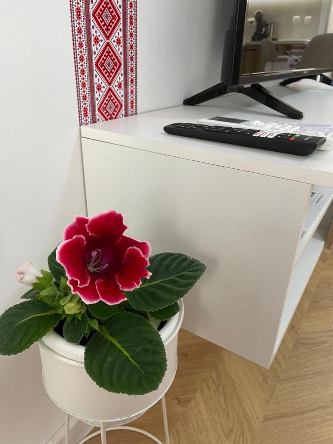 Studio Shevitsa & Free Garage Veliko Tarnovo Luaran gambar